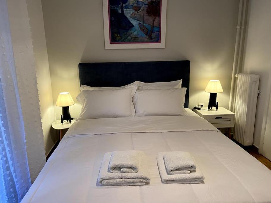 Cozy And Comfortable Apartment In Athens Center Exteriér fotografie